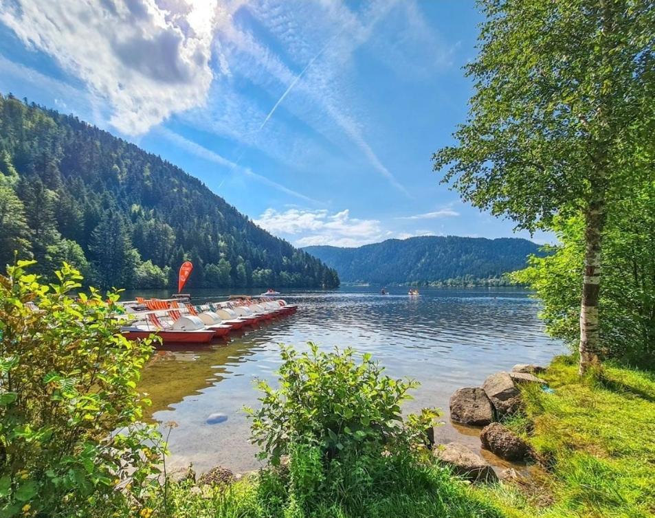 Gite Spa "La Foret Argentee" Proche Gerardmer Laveline-du-Houx エクステリア 写真
