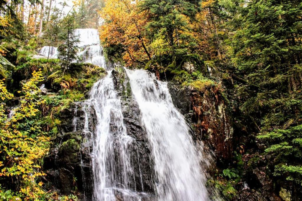 Gite Spa "La Foret Argentee" Proche Gerardmer Laveline-du-Houx エクステリア 写真